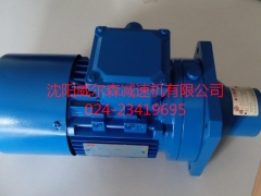 沈阳哪里有***微型摆线减速机|WB微型摆线减速机